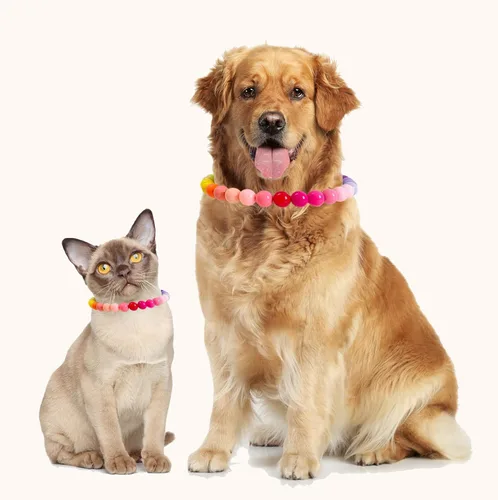 Miniatura 4 de Collar de perlas con cuentas para perro, hecho a mano, collar de perro elegante con campana, joyería para perros pequeños y cachorros