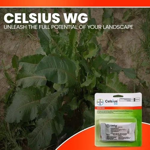 Miniatura 4 de Eliminador de malezas antes y posteriores al césped - Celsius - WG - 0.226 oz - Control de malezas de hoja ancha - Tratamiento de césped - Mata