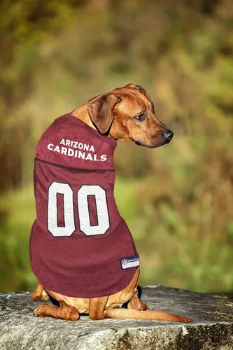 Miniatura 8 de Camiseta de los Arizona Cardinals de la NFL para Perro - Talla X-Small, Disfraz de Jersey de Fútbol para Perros y Gatos