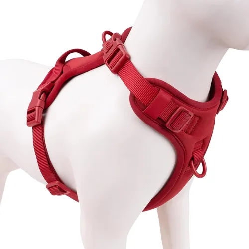 Miniatura 8 de Arnés sin tirones para perro, chaleco para cachorros con clip frontal para perros pequeños, medianos y grandes (verde niebla, M)
