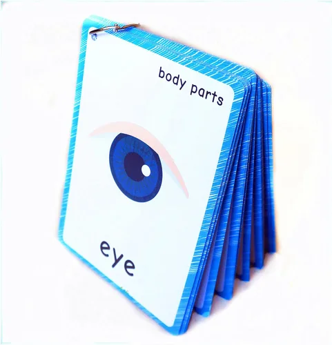 SANTSUN 36 piezas de tarjetas flash My Body Parts para niños pequeños, con agujeros perforados, para que puedas ordenar y organizar las tarjetas