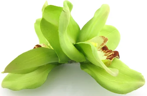 Miniatura 3 de Doble pinza de pelo de flores de seda verde lima con dientes