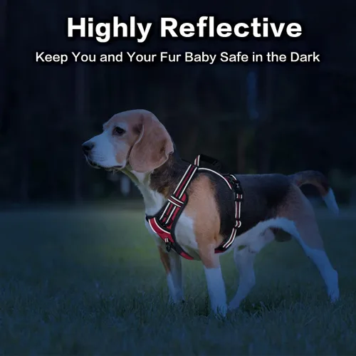 Miniatura 6 de PoyPet - Arnés para perro sin tirones, pechera reflectante con clip frontal, chaleco para mascotas sin estrangulamiento con asa vertical acolchada