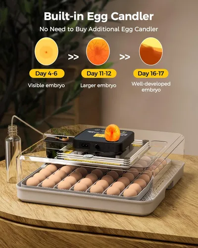 Miniatura 7 de Incubadora de 48 huevos para eclosionar con giro automático de huevos y control de humedad, vela de huevos, incubadora de huevos de aves de corral