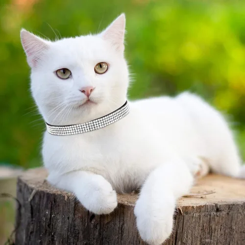 Miniatura 5 de Weewooday 4 collares de gato con diamantes de imitación, collar de gato con campana, accesorios brillantes para mascotas con terciopelo suave, 4