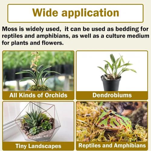Miniatura 7 de Hourleey Musgo de esfagnum para plantas, maceta de musgo seco de fibra larga natural de alta calidad, musgo de turba esfagnum a granel