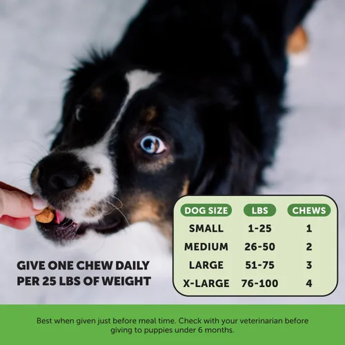 Miniatura 5 de Suplemento de arándano para la salud de la vejiga para perros – Soporte renal para perros, arándano y D-Manosa para la salud del tracto urinario