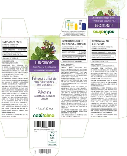 Miniatura 2 de Naturalma Hierba pulmonaria officinalis) con flores tintura sin alcohol - 4 onzas líquidas de extracto líquido en gotas - Suplemento de hierbas