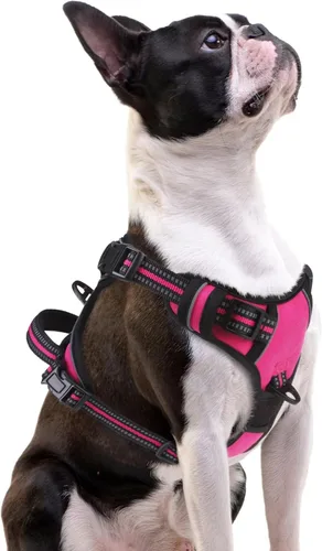 Miniatura 47 de PUPTECK Arnés para perro sin tirones para perros grandes, arnés para perro ajustable reflectante con mango de fácil control, arnés para mascotas