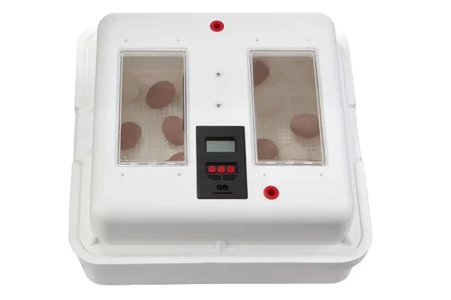 Miniatura 3 de [Modelo actualizado 2025] Incubadora digital Little Giant® de aire quieto Capacidad de 41 huevos Incubadora de huevos de pollo para incubación