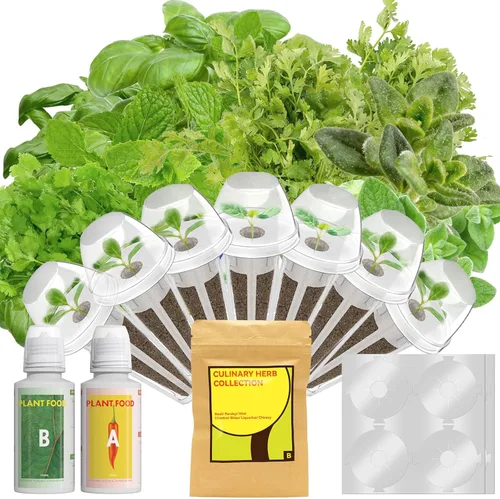 Miniatura 12 de LYKOCLEAN Vainas de semillas de flores para Ahopegarden, sistema de cultivo hidropónico iDOO MUFGA para jardinería interior, más de 400 semillas