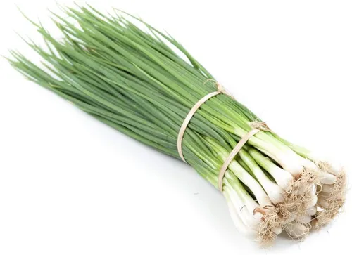 Miniatura 2 de Semillas de cebolla de Nebuka de hoja perenne agrupadas para plantar, más de 500 semillas tradicionales por paquete, semillas de jardín de Isla