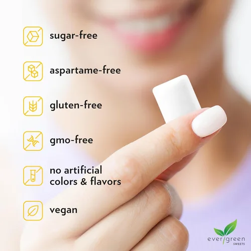Miniatura 4 de Evergreen Sweets Chicle – Tarro de 100 piezas – Chicle de frutas tropicales naturales hecho con xilitol y stevia – sin azúcar, sin aspartamo y vegano