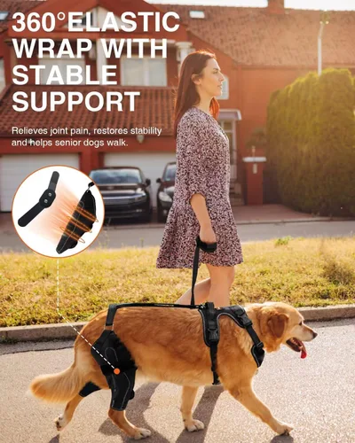 Miniatura 2 de Rodillera para Perro para Pata Trasera Rota ACL/CCL, Soporte Ajustable con Suficiente Envoltura y Apoyo para Luxación de Rótula, Rodillera