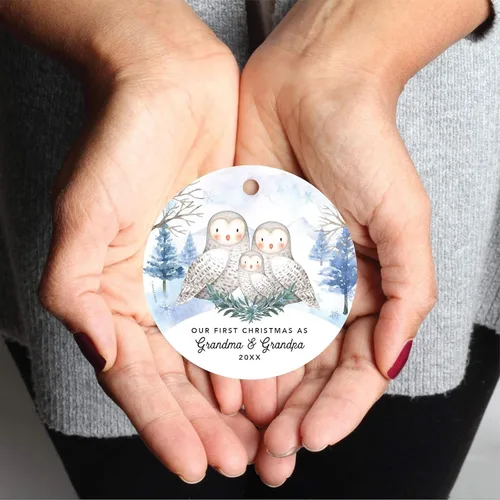 Miniatura 3 de Andaz Press Adorno redondo de recuerdo de Navidad, nuestro 10 aniversario 2025, búhos de nieve de invierno en acuarela, 1 paquete, incluye cinta