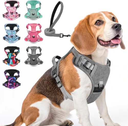 Miniatura 33 de BEAUTYZOO Arnés para perro sin tirones pequeño, juego de arnés y correa ajustable para perro - Fácil de usar con 3 hebillas/mango de control, arnés