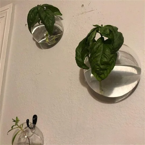 Miniatura 4 de Juego de 3 jarrones de pared de vidrio con forma de cuenco de burbujas, terrario para colgar en la pared, macetas de pared para interiores