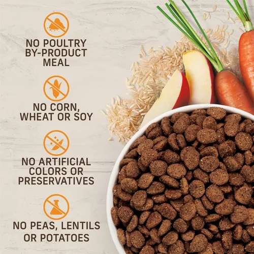 Miniatura 11 de Merrick Healthy Grains - Alimento seco prémium para perros adultos, croquetas saludables y naturales con pollo y arroz integral, bolsa de 12.0 libras