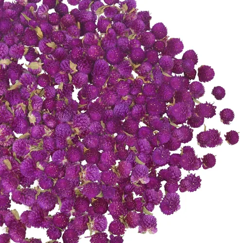 Miniatura 12 de CITYES 240 unidades de cabezas de flores de margarita secas naturales a granel, gerberas multicolores, girasoles reales, crisantemos con cuerda