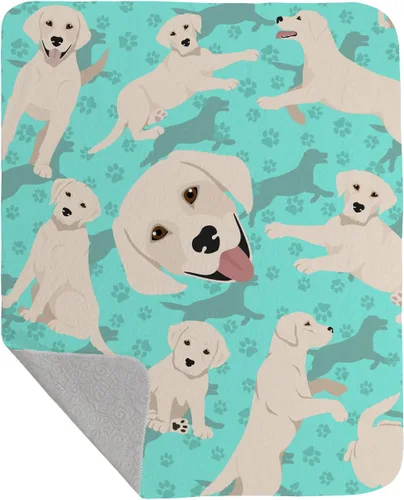 Miniatura 61 de Caroline's Treasures MLM1042LQB Airedale Terrier - Manta acolchada de 50 x 60 pulgadas, diseño de ilustraciones para cama, sofá, suave y ligera