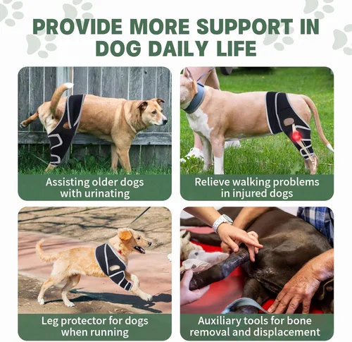 Miniatura 2 de Soporte ajustable para patas traseras de perro para perros pequeños a grandes, rodillera de perro para pierna trasera desgarrada con estabilizador