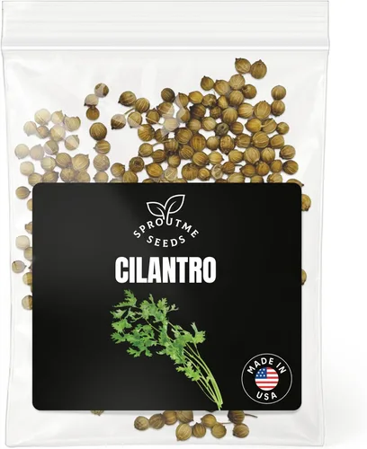 Miniatura 50 de Semillas de romero – Más de 100 personas sin OMG herencia cultivadas en Estados Unidos – Hierba culinaria aromática y hoja perenne fragante, apta
