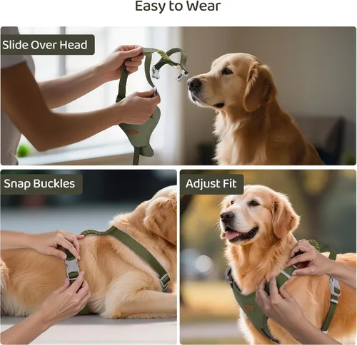 Miniatura 6 de Xlife Arnés para perros y gatos pequeños, arnés de chaleco ajustable sin tirones con hebilla de seguridad y anillo en D sin asfixia, fácil de poner