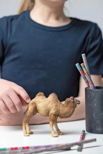 Miniatura 2 de Papo - Figura realista de camello bactriano para niños - A partir de 3 años - Colección Wild Life - Animales exóticos educativos - Juguete de idea