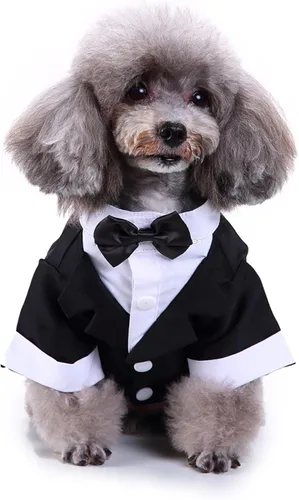 Miniatura 3 de GabeFish Chaquetas de boda para mascotas, traje para perros con pajarita, cachorro, gato, ropa formal camisa esmoquin (negro, S