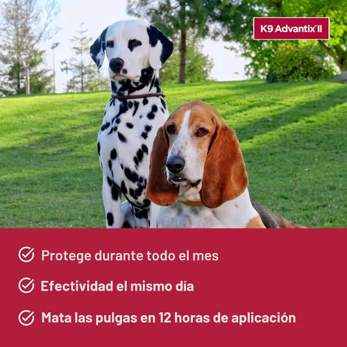 Miniatura 4 de K9 Advantix II Tratamiento y prevención recomendado por veterinarios para pulgas, garrapatas y mosquitos para perros medianos Perros 11-20 libras