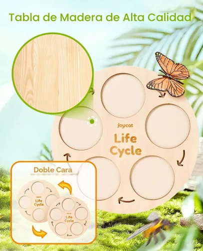 Miniatura 3 de JoyCat Juguetes Educativos de Aprendizaje del Ciclo de Vida, Kit de Oruga de Insecto a Mariposa, Mariquita, Abeja, Kit de Renacuajo a Rana, Juguetes