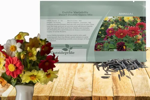 Outsidepride Opera Mix - Semillas de dalia para plantar, 200 unidades, anuales, fáciles de cultivar, semillas de flores de larga temporada con