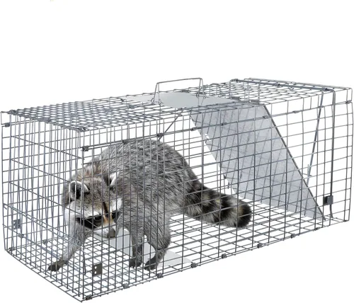 Miniatura 7 de ANT MARCH Trampa de jaula de animales vivos de 32 x 11.5 x 13 pulgadas, puerta de hierro de liberación humana para conejos, gatos callejeros