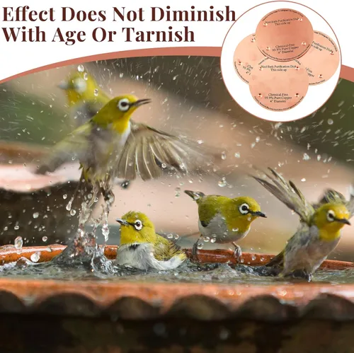 Miniatura 6 de MorningRo 4 discos de cobre para baño de pájaros de 4 pulgadas, 0.024 in de grosor, reforzado con 99.99% de cobre puro, disco de purificación