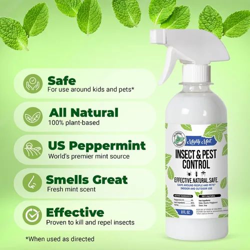 Miniatura 2 de Aceite de menta para control de insectos y plagas de 8 oz - Spray natural para arañas, hormigas y más (2)
