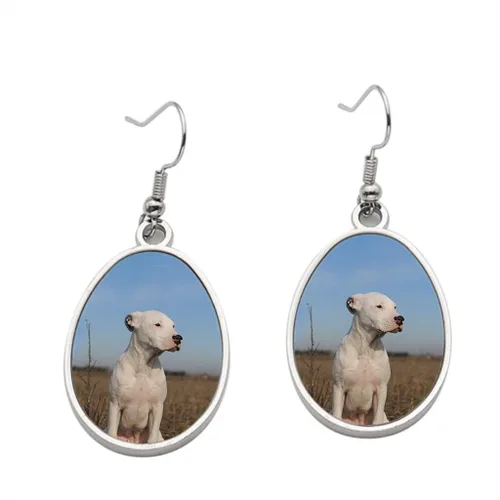 Puppy Dogo Argentino 2 Earring - Dangle Earrings for Girls - Valentine Birthday Party Gift