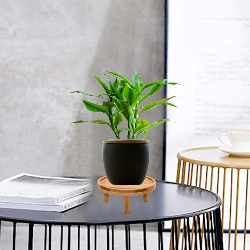 Miniatura 6 de ARTORA - Soporte para plantas estilo moderno de mediados de siglo, soporte de madera para plantas de interior, elevador de macetas para suculentas
