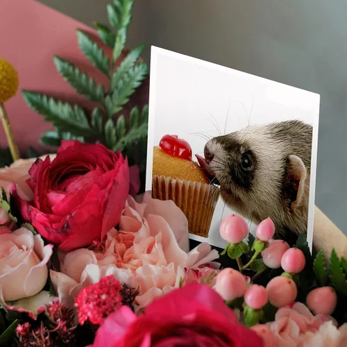 Miniatura 3 de Tarjeta de felicitación - Cupcake de hurón comiendo - Animales