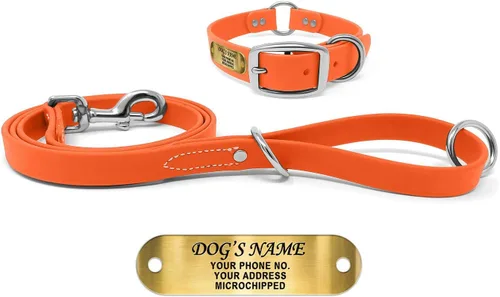 Miniatura 21 de Regal Dog Products Collar de Perro Naranja Mediano con Placa de Nombre Grabada Personalizada - Ajuste Personalizado, Resistente, Fácil de Limpiar