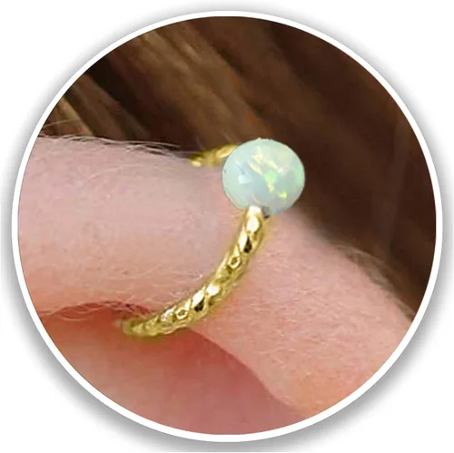 Miniatura 42 de Variedad de aretes de aro para cartílago