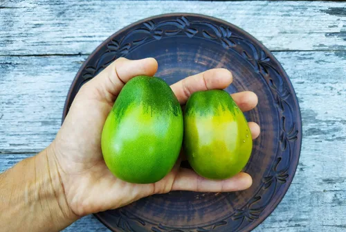 Miniatura 4 de Semillas Esmeralda Pera Tomate Verde Indeterminado No GMO Heirloom