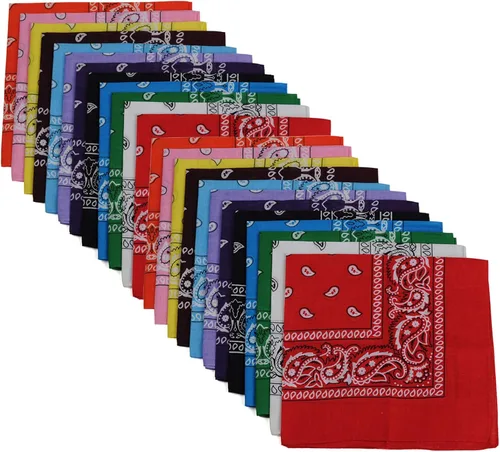 BSLINO Bandanas 22 X 22 pulgadas 100% algodón novedad impresión de doble cara Paisley Cowboy Bandana Party Favor bufanda diadema pañuelos, Paisley,
