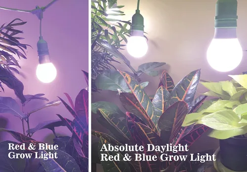 Miniatura 2 de Miracle LED Kit de luz de cultivo/abrazadera de 9W, rojo/azul