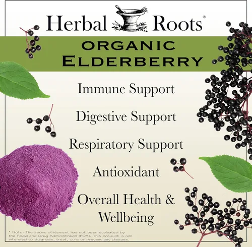 Miniatura 3 de Cápsulas de saúco orgánico Herbal Roots Máxima potencia Hechas con Sambucus orgánico 60 cápsulas veganas