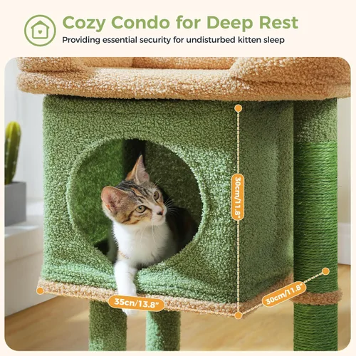 Miniatura 5 de PAWZ Road Árbol para gatos de interior, torre de cactus para gatos de 26 pulgadas con percha grande, condominio privado, condominio pequeño