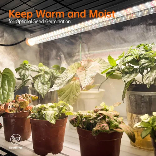Miniatura 3 de Bstrip Invernadero de interior con luz de crecimiento, soporte para plantas con paquete de 4 luces para plantas de 24W de espectro completo, estante
