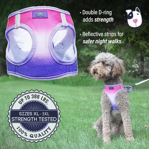 Miniatura 3 de Doggie Design Arnés para perro – Arnés para perro sin estrangulamiento, chaleco para perro, malla de poliéster, arnés para mascotas, diseño simple