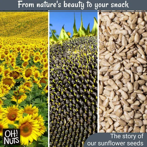 Miniatura 5 de Oh! Nuts Semillas de girasol sin cáscara – tostado sin sal – 2 libras – Snack potenciador de energía saludable – Empaquetado en bolsa con cierre
