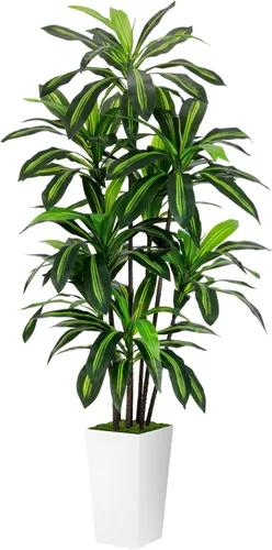 Miniatura 10 de Árbol artificial de Dracaena de 5 pies, árbol falso con maceta alta negra, planta falsa de yuca sintética en maceta, planta artificial para el Negro