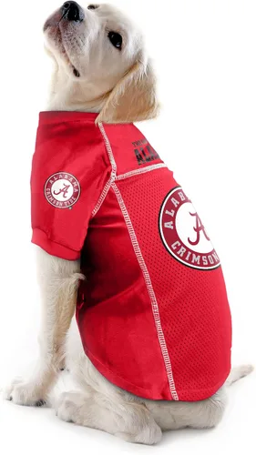 Miniatura 2 de NCAA, suéter de mascota., Rojo, XS